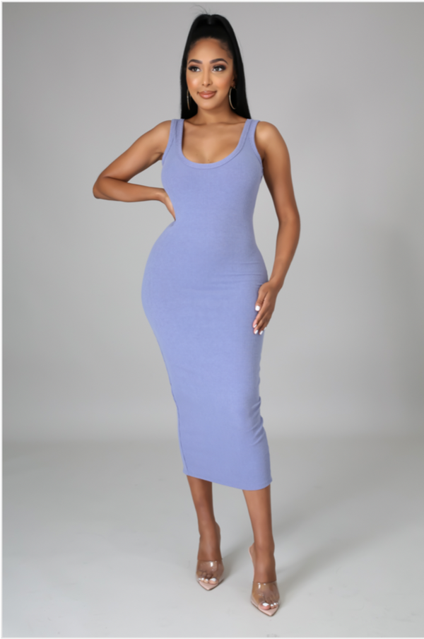 Nicki Sleeveless A-Line Dress - Women's Collection